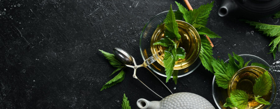 Zielona Herbata w Kazimierzu Dolnym