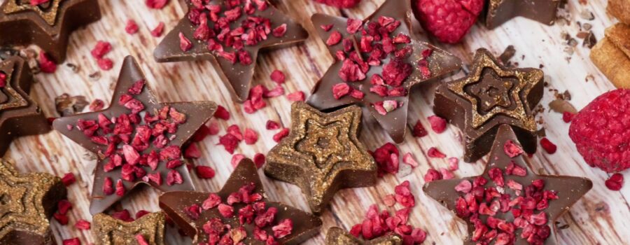 gwiazdki świąteczne